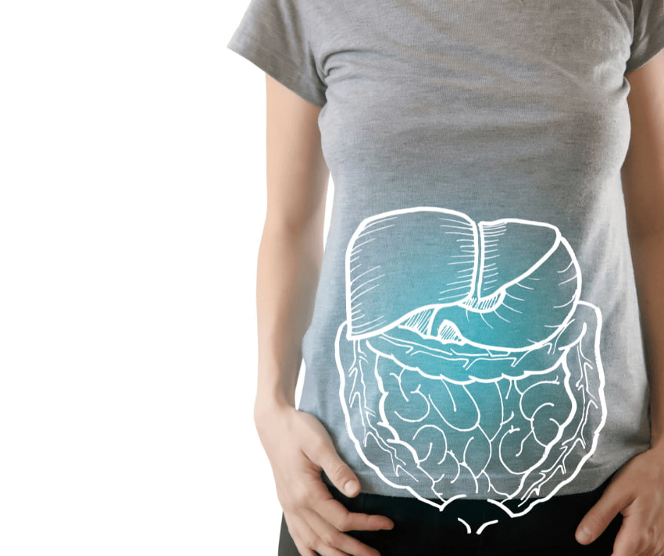 Healthy Gut 101 - Probiotics For Beginners