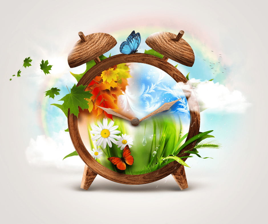 Times And Seasons... In Nutrition